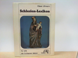 Schlesien - Lexikon : Für Alle, Die Schlesien Lieben - Altri & Non Classificati