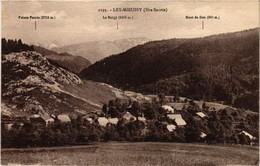 CPA Ley-MIEUSSY - Pointe Percée - La Bergy - Mont De DRU (248017) - Mieussy