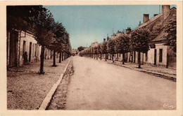 CPA Neuille-Pont-PIERRE - Avenue Louis-Proust (253458) - Neuillé-Pont-Pierre