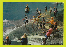 Martinique N°7112 Pêcheurs Pêche à La SEYNE Filet Net Fishing - Pêche