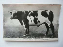 CPA CONCOURS GENERAL AGRICOLE : BOEUF GRAS NORMAND - Paris 1926 - Elevage