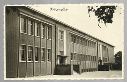 **  OOSTMALLE  **  -  Instituut Immaculata  -  ZIE / VOIR SCAN - Malle