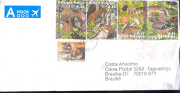 Cover - Belgique  To Brazil - Storia Postale