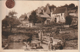 41- Carte Postale Ancienne De  BOURRE  La Fontaine Des Roches - Altri & Non Classificati