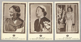 **  3 X LA PRINCESSE  JOSEPHINE  CHARLOTTE  **  -  Varia / Divers  -  ZIE / VOIR SCAN - Famiglia Reale