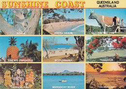 Sunshine Coast Multiview -  Australia - Queensland - Used Postcard - - Sunshine Coast