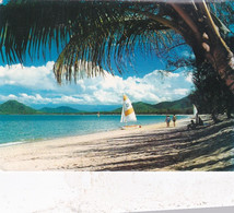 Palm Cove Beach - NT - NSW -  Australia  - Used Postcard - - Ohne Zuordnung