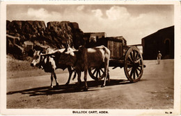 PC BULLOCK CART ADEN REAL PHOTO YEMEN (a31953) - Yemen