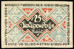 25 Mark Leinen, Weiß 15.7.1921 - 1.4.1922. Blaudruck Der Rs. Graublau Statt Blau, Mit Rundstempel. Dieses Exemplar Im Gr - Zwischenscheine - Schatzanweisungen