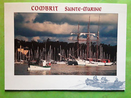 COMBRIT STE SAINTE MARINE,  Finistère 29, Mouillage Au Port , Voiliers , Ed Le Doare , TB - Combrit Ste-Marine