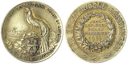 Goldmedaille 1933, Junggeflügelschau Hannover. 30,5 Mm; 13,45 G. 585/1000. Sehr Schön/vorzüglich - Monete D'oro