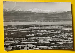 18384 - Le Mt Blanc Et Le Léman Vus D'Arzier  Arzier 14.10.1954 - Arzier-Le Muids