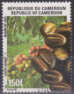 Cameroun YT 888 Mi 1228 Année 1998 (Used °) Café - Coffee - Cameroon (1960-...)