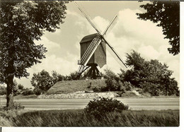 CP De DIEST " De Linde Molen " - Diest