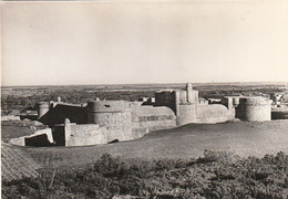 SALSES. - Le Château. Donjon Et Courtine Ouest. Photo Véritable - Salses