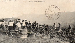 VENDANGES EN BEAUJOLAIS BELLE ANIMATION - Vignes