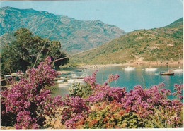 GIROLATA   2A   CORSE DU SUD    CPM  LE GOLFE - Other & Unclassified