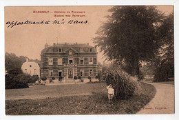 HOESSELT - Kasteel Van Terwaert - Château De Terwaert - Hoeselt