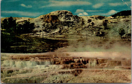 Wyoming Yellostone National Park Opal Terraces 1954 - Yellowstone