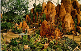 Wisconsin Milwaukee Mitchell Park Horticultural Conservatory Arid Dome With PLants Of The Canary Islands 1970 - Milwaukee