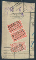 TR Cachet  "O  BRUGGE Nr 9" - Franse Tekst Gewist/texte Français Limé -  - (ref. 859) Op Fragment - 1923-1941