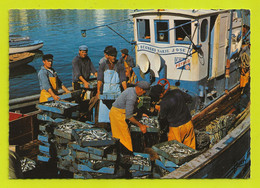 Pêche Pêcheurs Poisson Débarquement De La SARDINE En Bretagne Gros Plan Du Bateau Bernard Marie José PUB Diesel Poyaud - Pêche