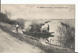 °° 44 °°°28. BOUAYE (Loire-Inf.) - Le Lac De Grand-Lleu" °° 983    °°° - Bouaye