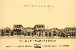 Bordeaux * Cpa Pub Publicité Caves De La Société J. CALVET And Co * Grand Chais Du Bordelais * Vin Viticulteur - Bordeaux