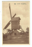 Lommel    Een Windmolen  Un Moulin à Vent - Lommel