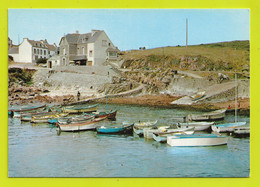 29 PLOZEVET PLOUHINEC N°1008 PORS POULHAN Barques Bateaux Citroën 2CV Lessive étendue Sur La Colline VOIR DOS - Plozevet