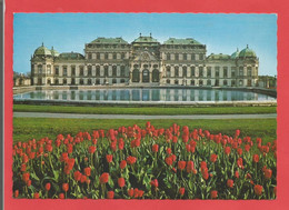 C.P.S.M. « VIENNE » Le Château De Belvédère  Jolie Vue Générale   X2 Phots - Belvedere