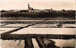 CPA BOURGNEUF-en-RETZ - Les Marais Salants Panorama Sur (242666) - Bourgneuf-en-Retz