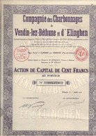 COMPAGNIE DES CHARBONNAGES DE VENDIN -LEZ - BETHUNE ET D'ELINGHEN-ACTION DE 100 FRS -ANNEE 1930 - Mineral