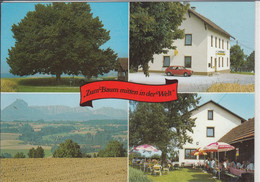 KREMSMÜNSTER, Gasthaus "Zum Baum Mitten In Der Welt" - Mehrfachansicht - Kremsmünster