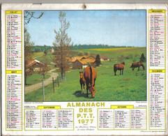 Calendrier Almanach Des P.T.T. 1977  Chevaux En Pâturage - Tamaño Grande : 1971-80