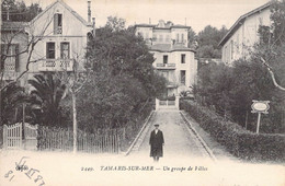 CPA France - Var - Tamaris Sur Mer - Un Groupe De Villas - Animée - Village - E. L. D. - Rue - Végétation - Tamaris