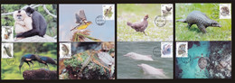 China Maximum Card,2021-28 National Key Protected Wildlife Class I，8 Pcs - Cartes-maximum