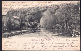 +++ CPA - Environs De Huy - ROISEUX - 1902  // - Huy