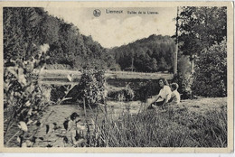 Lierneux    -   Vallée De La Lienne. - Lierneux