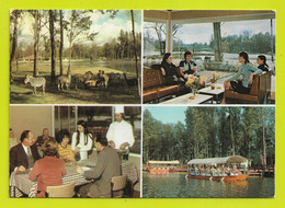 91 Parc De SAINT VRAIN Restaurant Gastronomique Bar Zèbres Lamas Terrasse Panoramique Bateau J. Bouvier Villemoisson - Saint Vrain