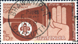 273518 USED INDIA 1967 60 ANIVERSARIO DEL ESCULTISMO - Unused Stamps