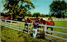 Kentucky Lexington Horses At Blue Grass Horse Farm 1956 - Lexington