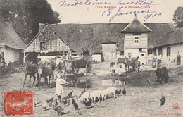 Delcampe - Une Ferme - La Basse Cour - Bauernhöfe