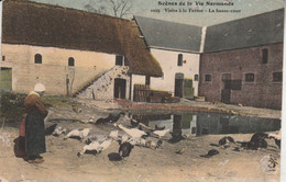 Scènes De La Vie Normande - Visite à La Ferme - La Basse Cour - Elevage