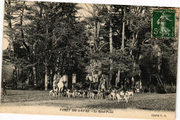 CPA Foret Du Gavre-Le Rond-Point (250837) - Le Gavre