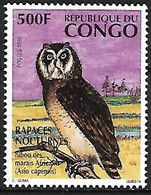 Congo (Brazaville) - MNH ** 1996 :  Marsh Owl  -  Asio Capensis - Hiboux & Chouettes