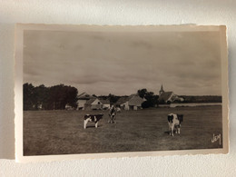 HESTRUD - Vue Champêtre - Solre Le Chateau