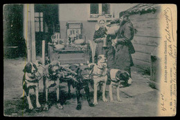 BELGIUM - Attelage De Chiens - Attelage De Chiens Flamand. (Ed. G. Hermans Nº 364) Carte Postale - Artisanat