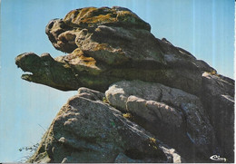 Delcampe - 29 Plouguerneau - Plouguerneau