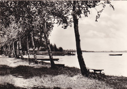 A21274 - RANGSDORF Seepromenade Germany Deutschland Post Card Unused Lake - Rangsdorf